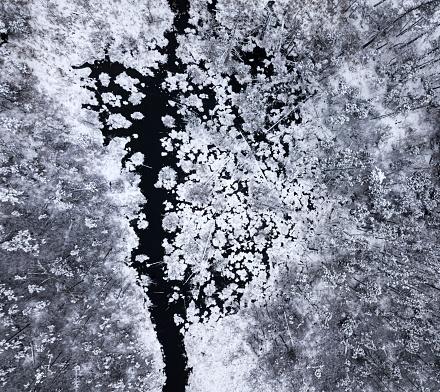 Aerial drone view of fresh snow on a wetland area.