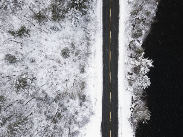 Free Stock Photo of Aerial View of Snow Covered Trees Along a Road ...