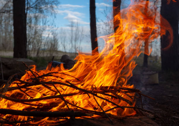 istock Campfire near the beach 1194983951