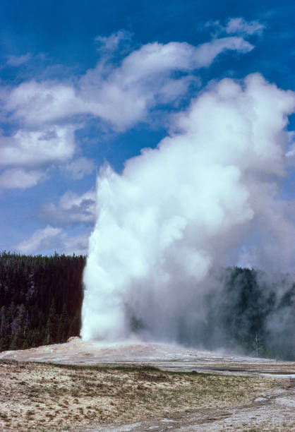 istock Yellowstone National Park - Old Faithful - 1981 1194984868
