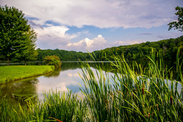 istock A perfect summer day for relaxing by the lake 1194984917