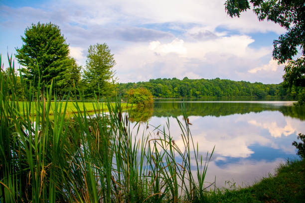 istock A perfect summer day for relaxing by the lake 1194985040