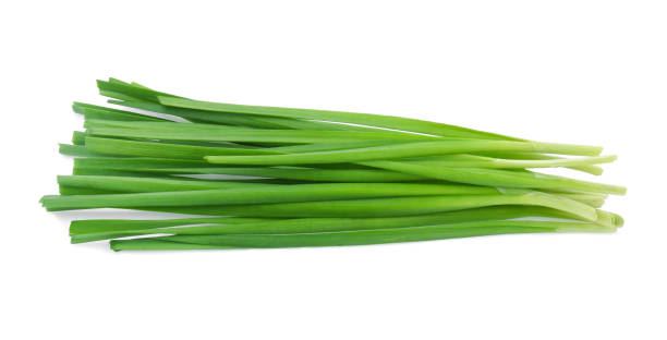 istock Chinese chives, Garlic chives isolated on white background 1194985981