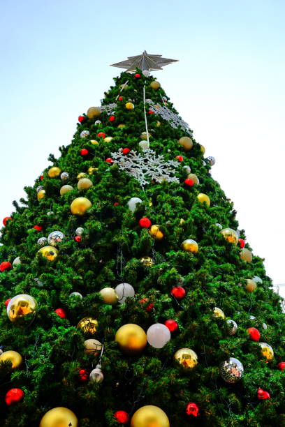 Christmas tree and blue sky