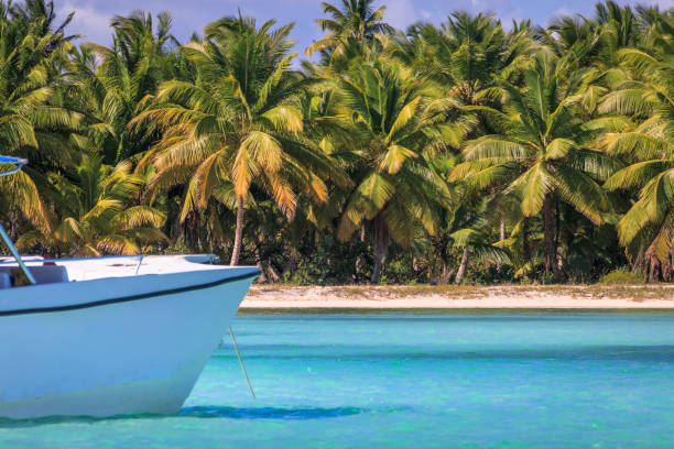 istock tropical paradise: Beach with boat - Saona island, Caribbean 1194988062