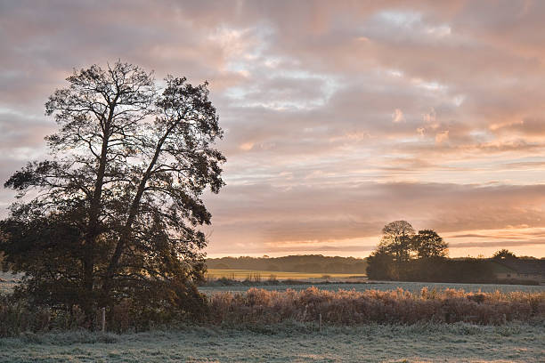 istock Sunrise Over the Frosty Fields 119499389