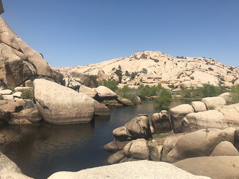 trees and rocks in the desert near Joshua Tree National Park in Southern California at an oasis