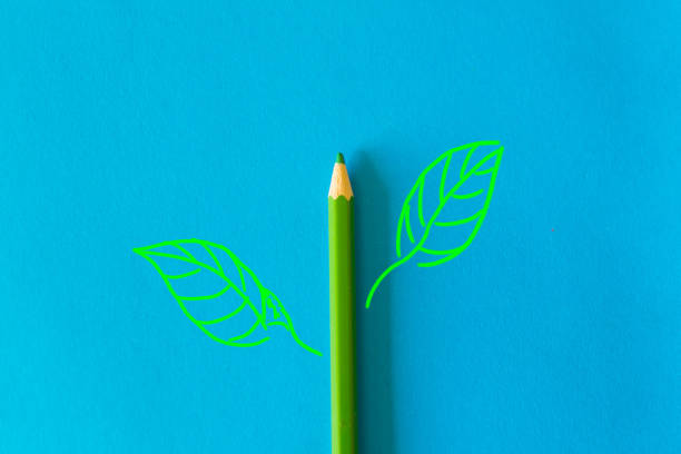 istock Green wooden pencil 1194998176