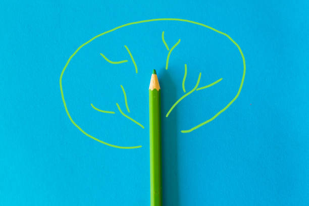 istock Green wooden pencil 1194998178