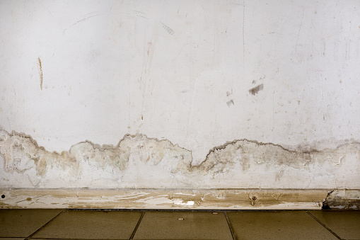 Flooding rainwater or floor heating systems, causing damage, peeling paint and mildew. - image