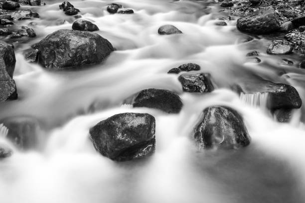 Flowing water over rocks in a rapid, black and white