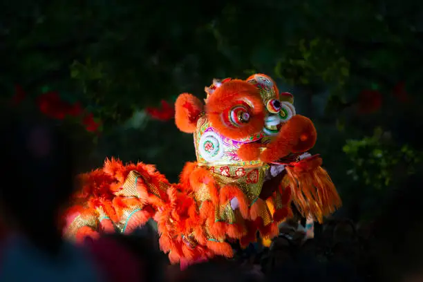 Photo of Audiences enthralled by the lion dance in the park for Chinese New Year