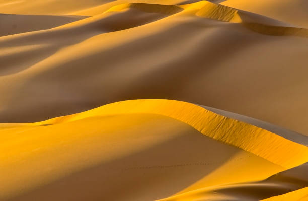 아라비아 사막의 모래 언덕 - landscape desert wave pattern erg chebbi dunes 뉴스 사진 이미지