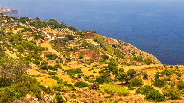 istock Landscape near The Dingli Cliffs on Malta island. 1195019134