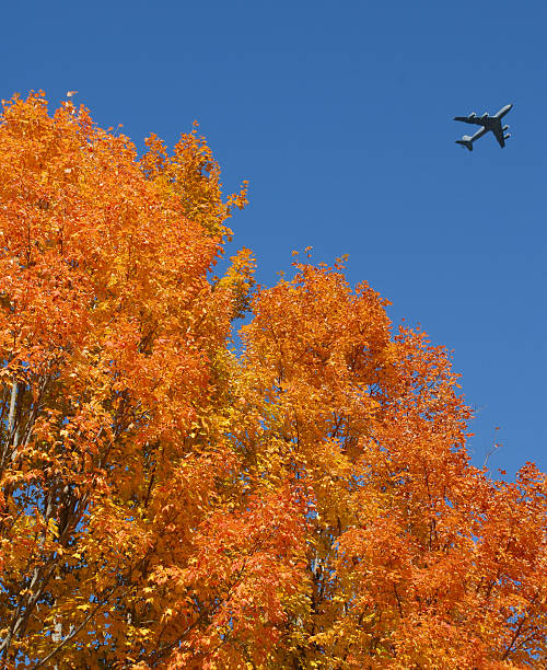 istock Autumn foliage and jet aircraft 119502070