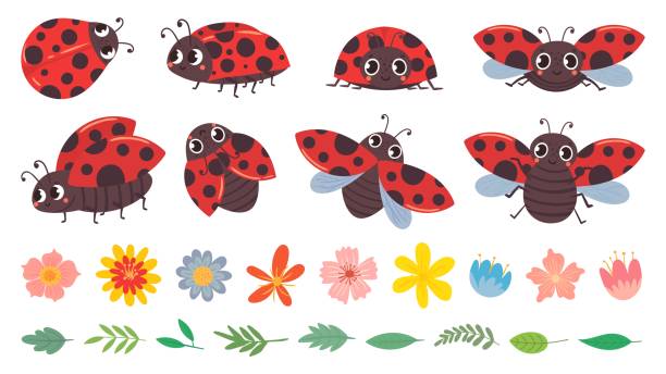 ilustrações de stock, clip art, desenhos animados e ícones de cartoon ladybug. cute ladybugs with flowers and leaves, red bug and insects vector illustration set. funny lady bugs, flower buds and foliage pack. childish flying beetle stickers collection - ladybug