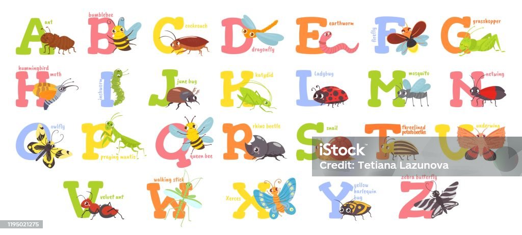 Cartoon Insects Alphabet Funny Bug Letters Comic Insect Abc For Kids And  Cute Bugs Vector Illustration Set Educational English Alphabet With  Colorful Cartoon Characters Primary School Education Stock Illustration -  Download Image