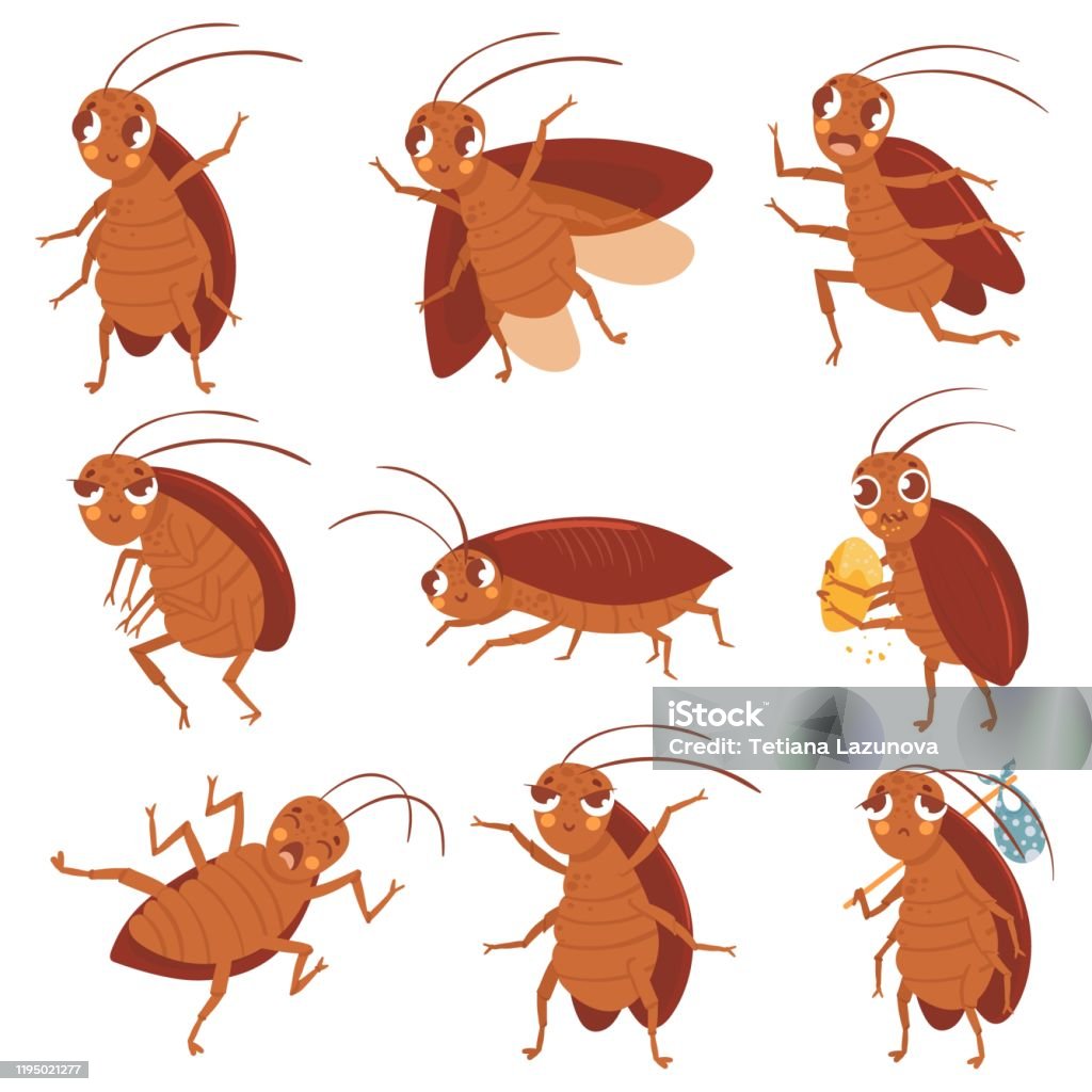 Ilustración de Mascota De Cucaracha De Dibujos Animados Cucarachas Enojadas Plagas De Insectos Y Insectos Controlan Personajes Ilustraciones Vectoriales Conjunto De Ilustraciones Vectoriales Colección De Escarabajos Marrones Divertidos Diferentes ... Ilustración de Mascota De Cucaracha De Dibujos Animados Cucarachas Enojadas Plagas De Insectos Y Insectos Controlan Personajes Ilustraciones Vectoriales Conjunto De Ilustraciones Vectoriales Colección De Escarabajos Marrones Divertidos Diferentes ...