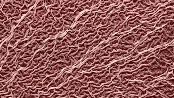 Photo of Macro, texture of mold on a liquid surface