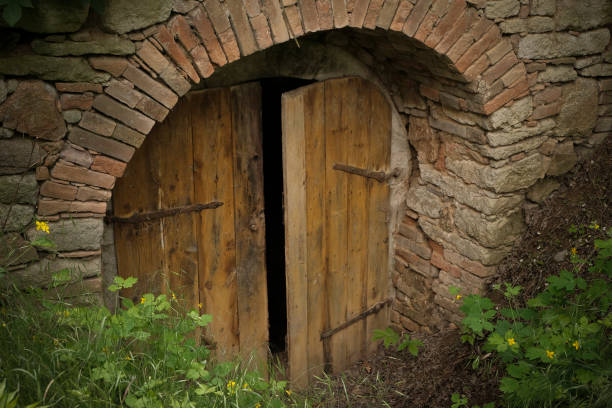 vieille cave à vin - wine cellar door house photos et images de collection