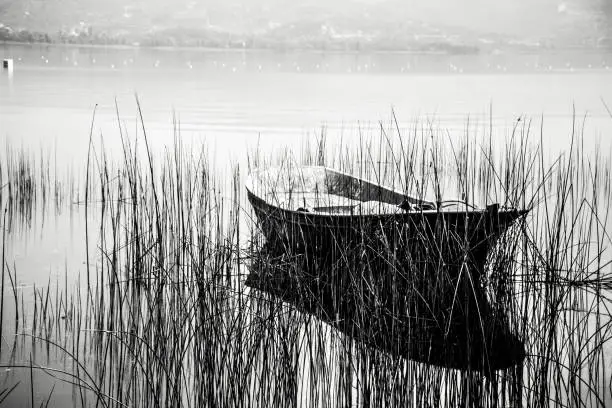 Black and white boat on the lake