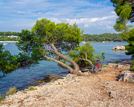 Charming rocky city beach in Rovinj with bicycle and walking path in the shadowed park. Park šuma Zlatni Rt.