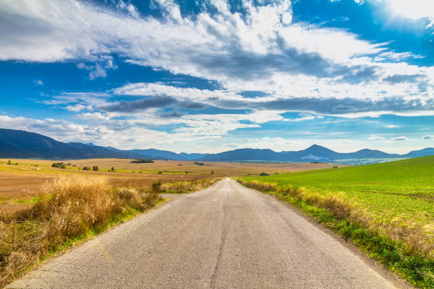 istock Road around fields through rural landscape in sunny summer day. 1195027300