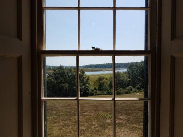 istock glass window pane with river water and trees 1195032355