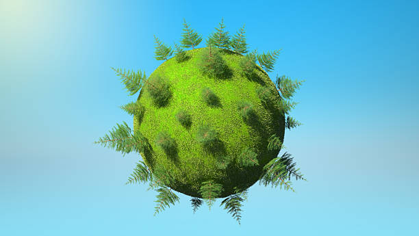 istock XXL Environment concept - Earth planet and firtrees 119503284