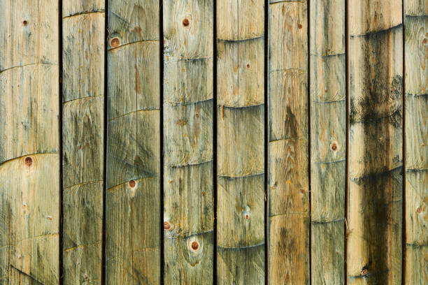istock Old weathered wooden plank for background or texture 1195033873