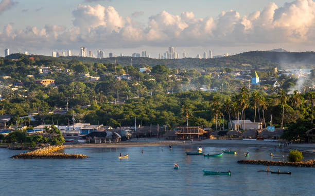 istock Island of Earth Bomba Beaches 1195036169