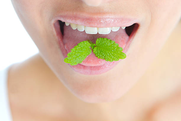 close-up di foglie di menta su una donna di lingua - human mouth human teeth indoors young women foto e immagini stock