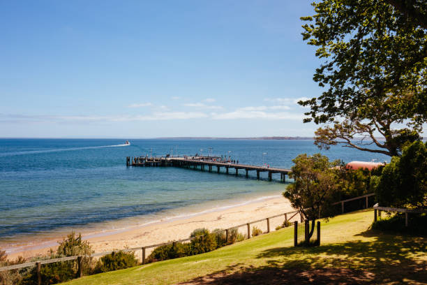istock Cowes Foreshore on Philip Island in Australia 1195048320