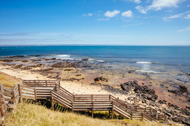istock Shelley Beach on Philip Island in Australia 1195048893