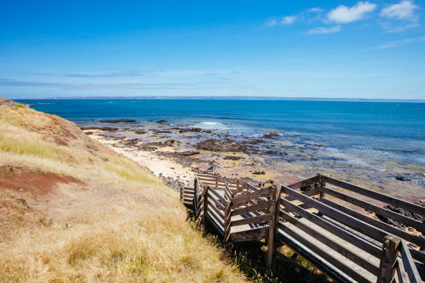 shelley beach on philip island in australia - prince philip imagens e fotografias de stock