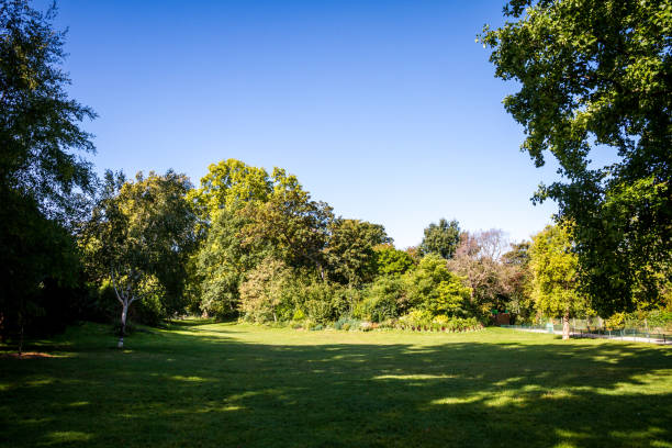 istock Parc Monceau, Paris, France 1195049916