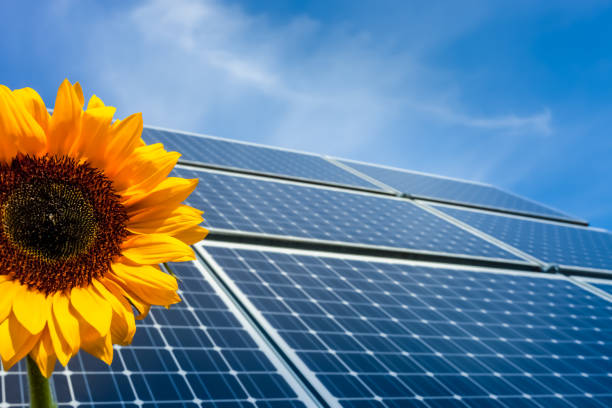 istock Solar energy with sunflower 1195050415