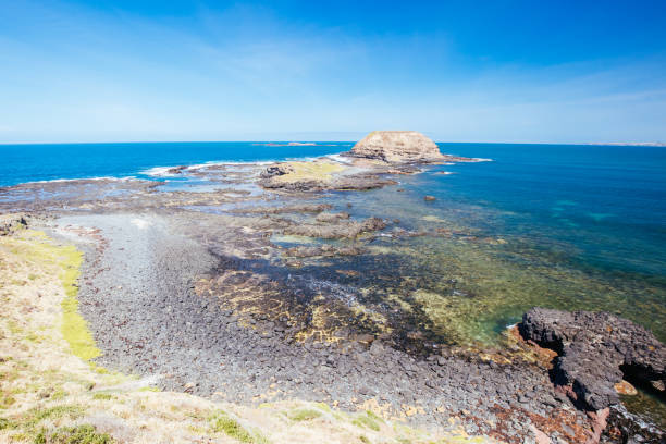 istock The Nobbies Landscape at Philip Island 1195051254