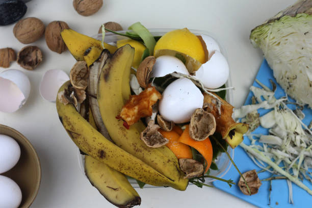 istock Organic food waste 1195054715