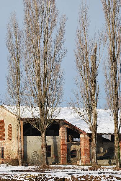 istock Country house in winter 119505671