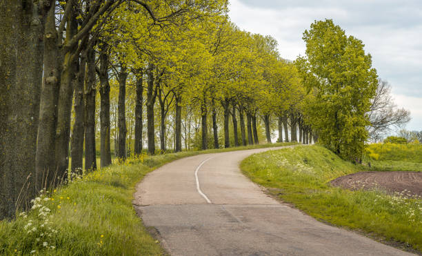 zakrzywiona droga wiejska - plowed road zdjęcia i obrazy z banku zdjęć