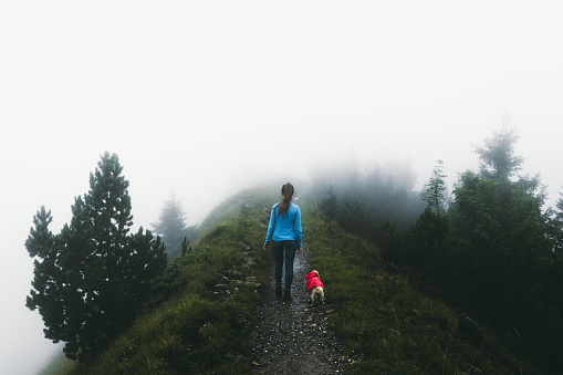 Young woman tourist with in blue jacket and her small fluffy cute pug in red raincoat enjoying his hiking trip through beautiful foggy footpath in the mountains of Appenzell region in Switzerland