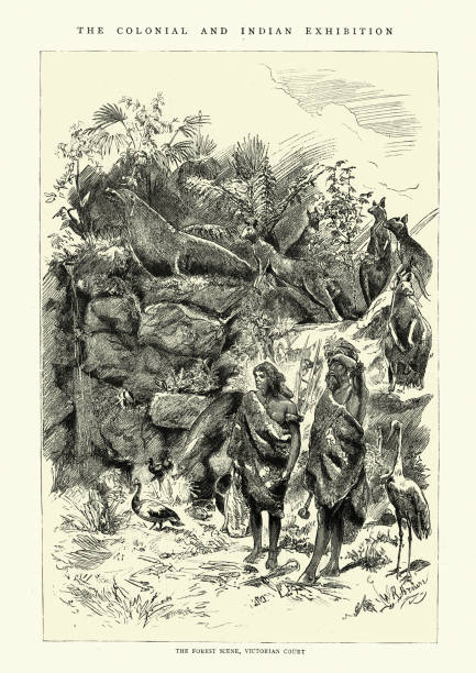 australijska aborygenów sceny leśnej, wiktoriański sąd, 1886 - aboriginal stock illustrations