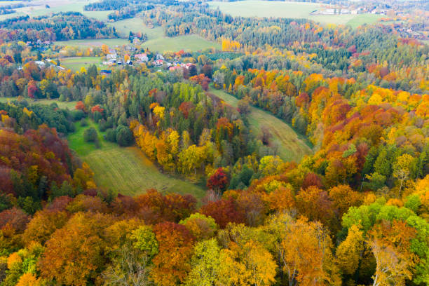 istock Autumn hilly landscape 1195070426