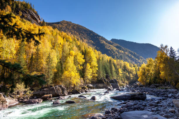 istock Autumn in Coco Tuohai, Xinjiang, China 1195073152