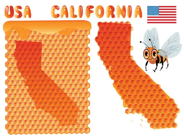 Vector illustration of California Bee and Honey