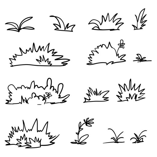 Handdrawn Grass Fresh Spring Plants Different Herbs And Bushes In Doodle  Cartoon Style Vector Stock Illustration - Download Image Now - iStock