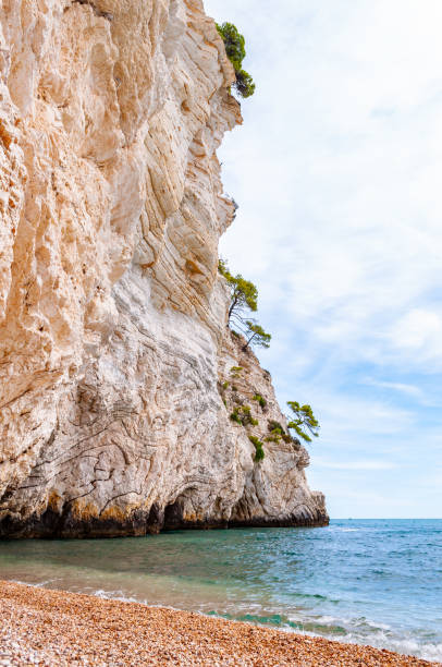 istock Beautiful pebble beach surrounded by high massive white limestone rocky cliffs eroded by Adriatic sea waves and wind. Green Aleppo pines growing on the rocks. Emerald water washing the coastline 1195076869