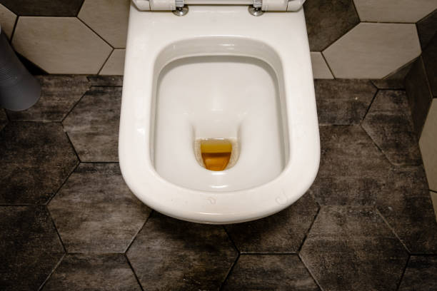 istock dirty toilet 1195077476