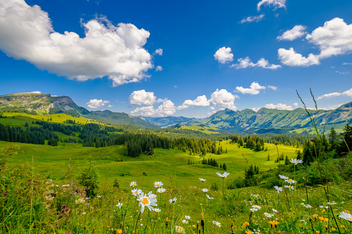 Summer time mountain panoramic landscape in Switzerland